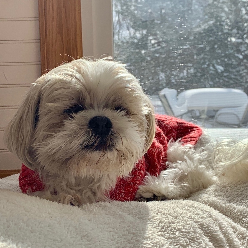 Meet your Posher, Posh